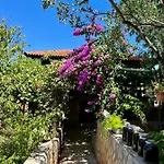Gorana With Swimming Pool