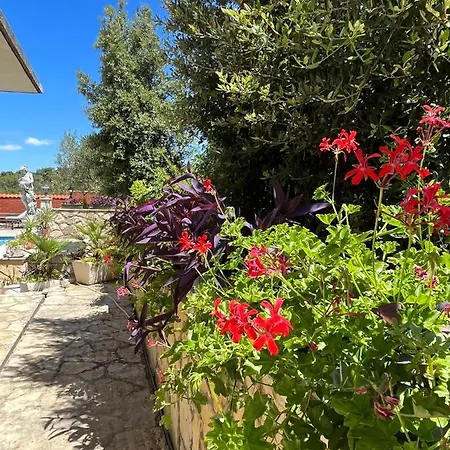 Gorana With Swimming Pool