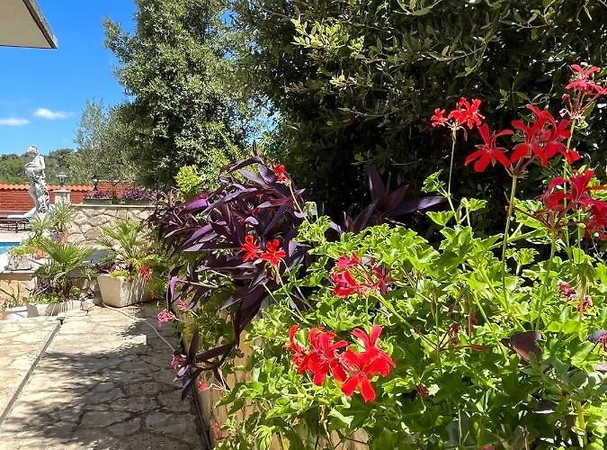 Gorana With Swimming Pool