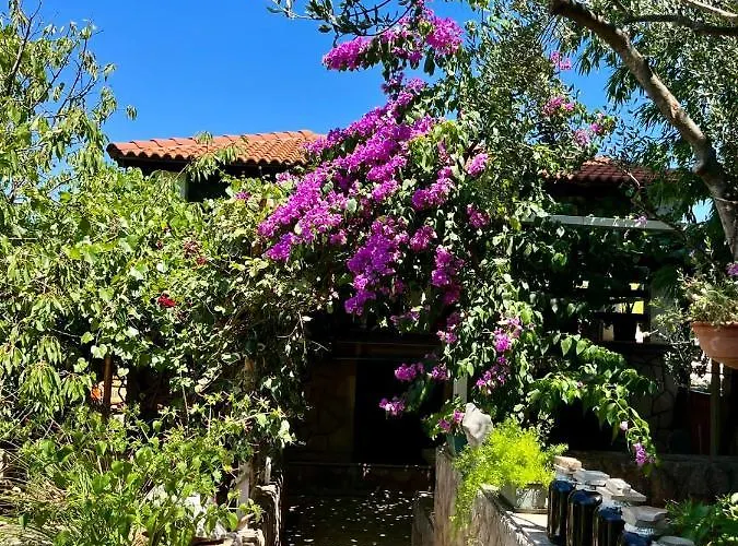 Gorana With Swimming Pool